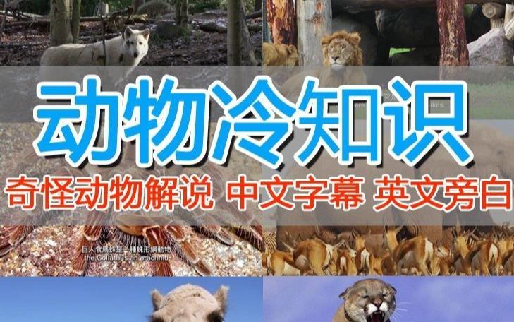 点击查看原图 11.jpg