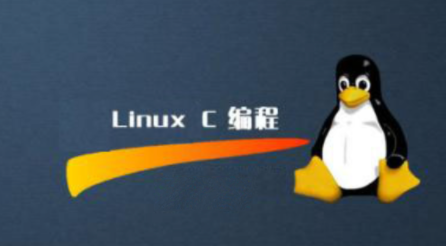 linux C/C++编程全套教程一码农有道