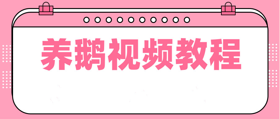 点击查看原图 1722659449-fd1b8f2d6b71886.jpg